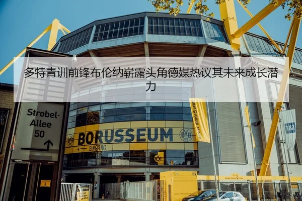 多特青训前锋布伦纳崭露头角德媒热议其未来成长潜力